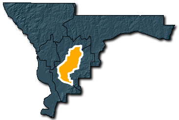 Council District 1