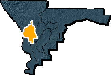 Council District 8