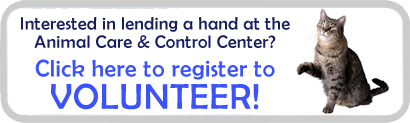 Volunteer at the Animal Care & Control Center