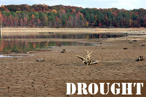 Tips to prepare for Droughts