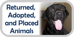 View our rescued, adopted, and saved animals